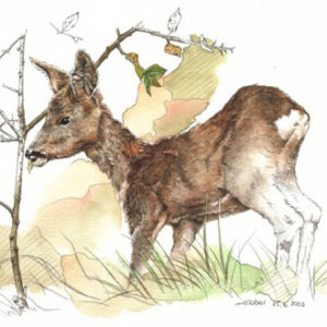 La maraude