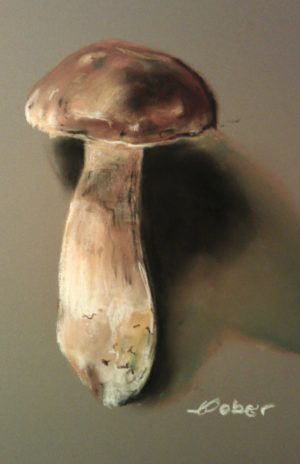 Le bolet - Parfum de sous bois