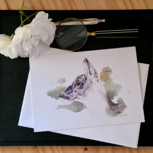 Cartes de vœux