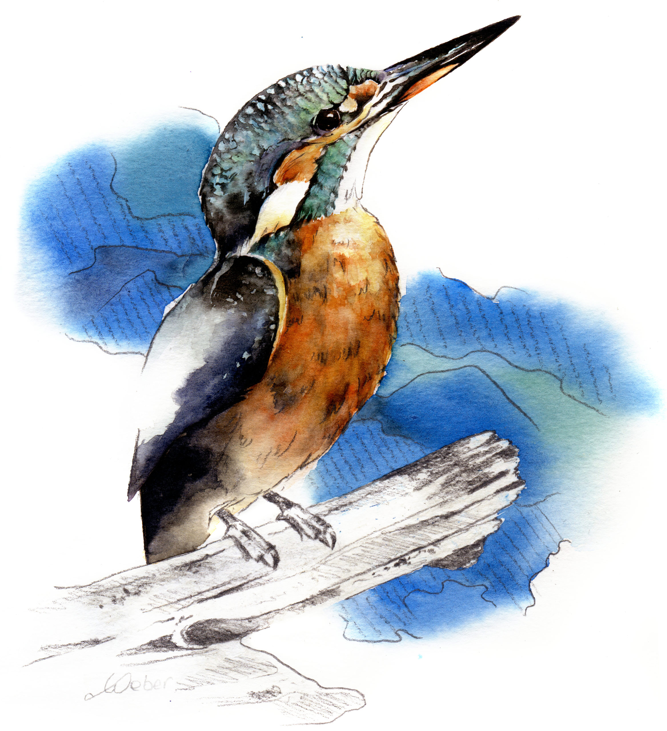 Aquarelle Le roi du blues