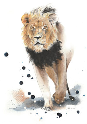 The King, Lion aquarelle de Louise Weber