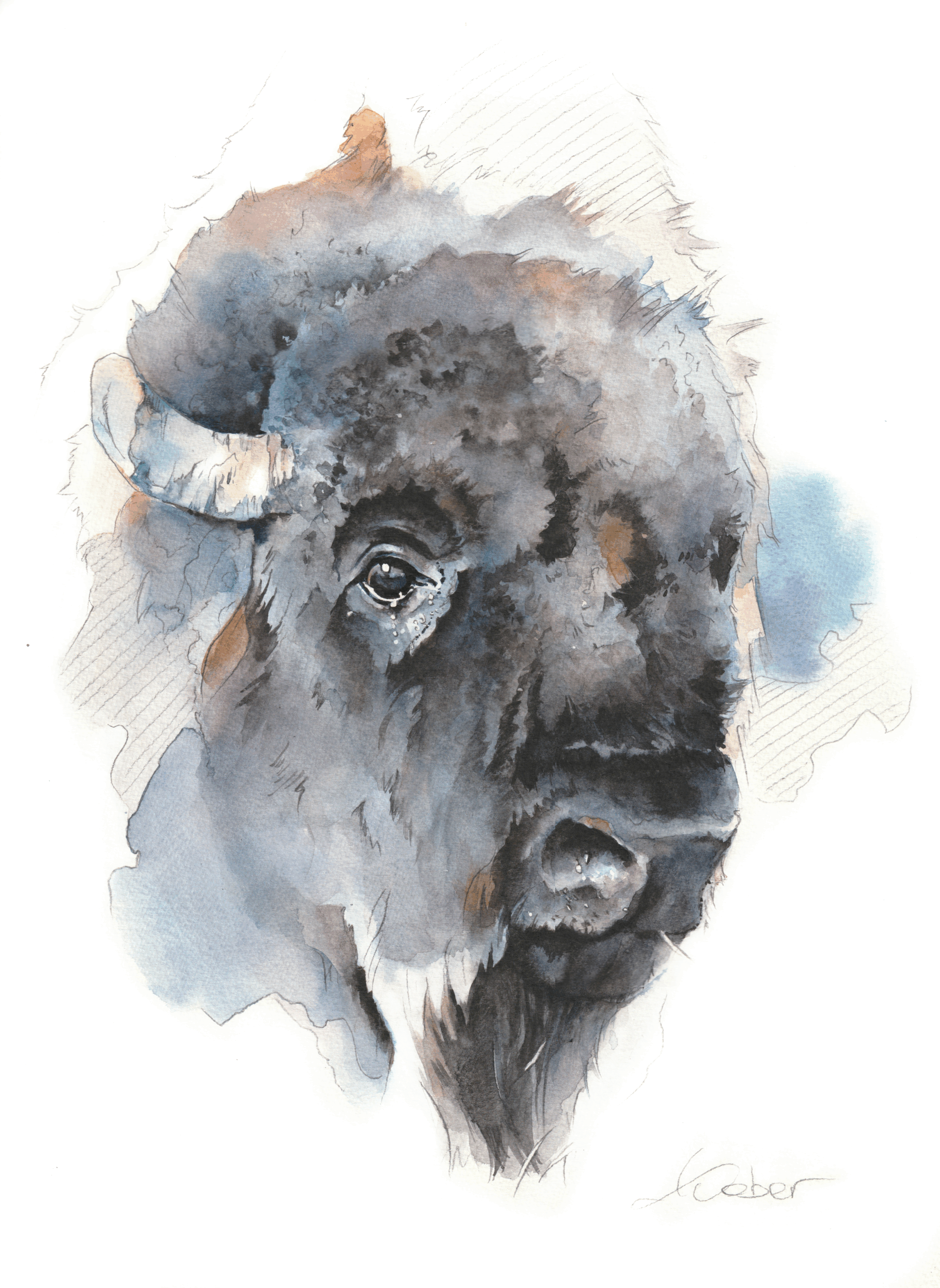 Portrait de bison à l'aquarelle