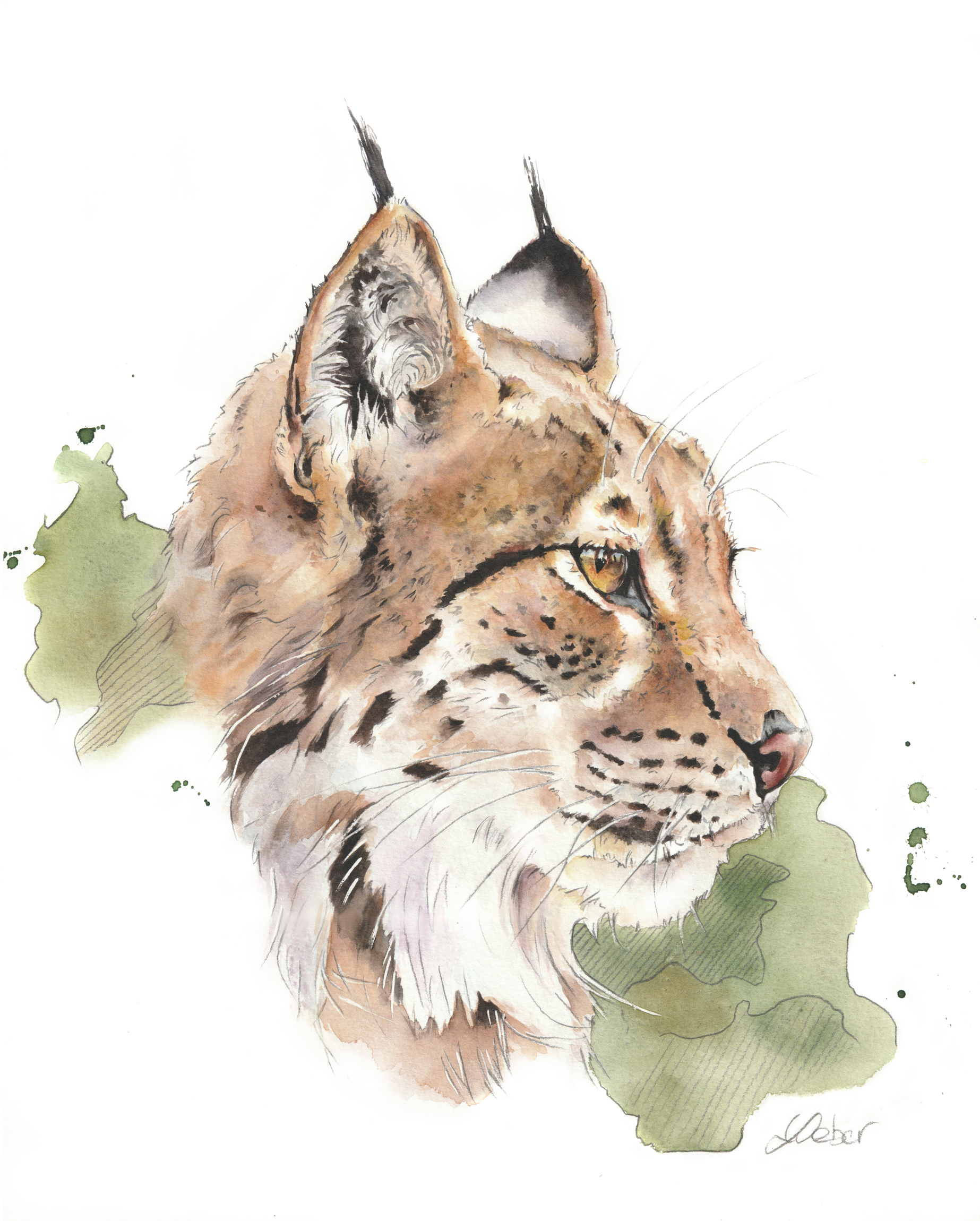 Féllini
